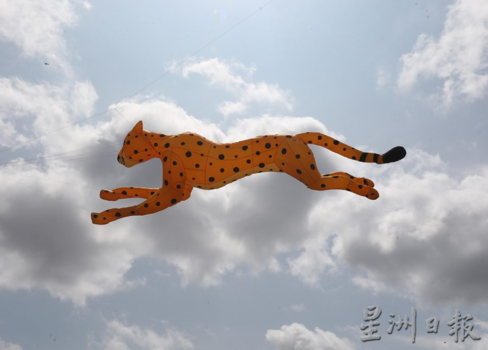 柔:【特稿】: 国际风筝节登场 各国选手28日“运动风筝”竞技