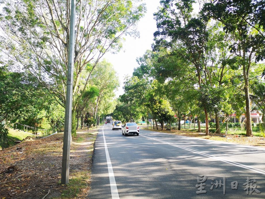 武吉南眉工业区大树遮视线 罗里勾扯电线灯柱倒