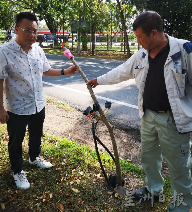 武吉南眉工业区大树遮视线 罗里勾扯电线灯柱倒