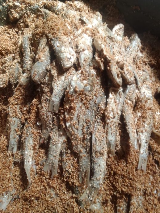 沙拉尼:致力促成旅游年 辟新航线设铁道路线