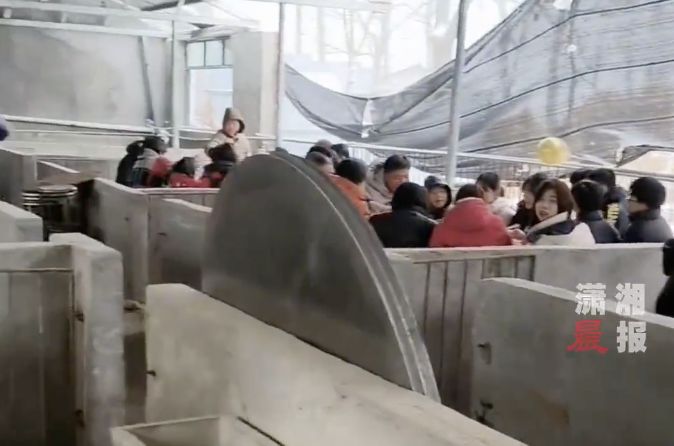 河南婚宴遇大雪 宾客在猪圈内吃喜酒:很暖和