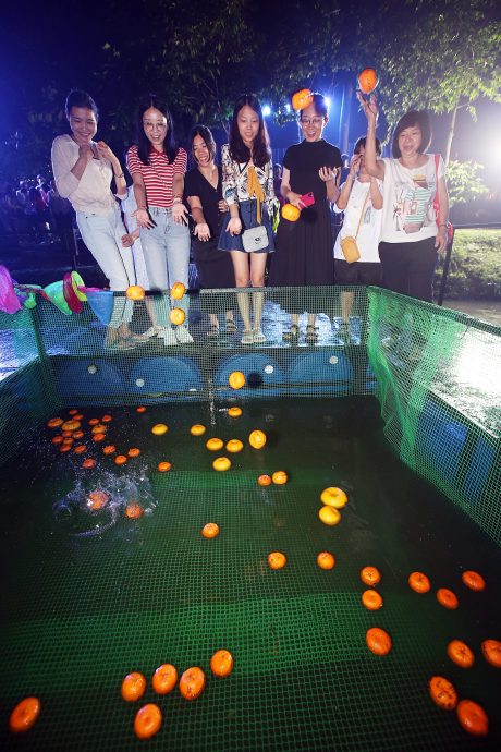 版头-大都会/莲花苑元宵节抛柑活动/15图(选下)