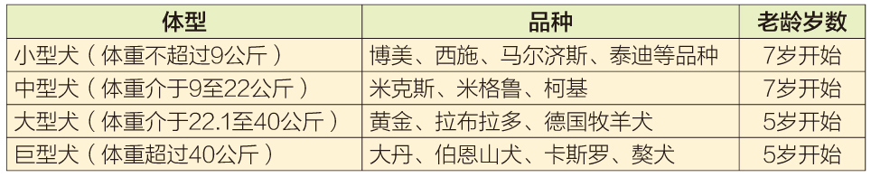 狗狗无法说话，高龄犬生病了要如何发现？