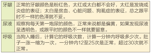 狗狗无法说话，高龄犬生病了要如何发现？