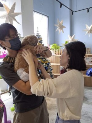 狗狗无法说话,高龄犬生病了要如何发现?