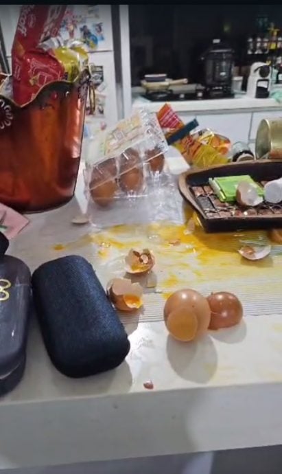 独家视频 | 爬16楼闯屋觅食 沙登岭花园“猴”患无穷!