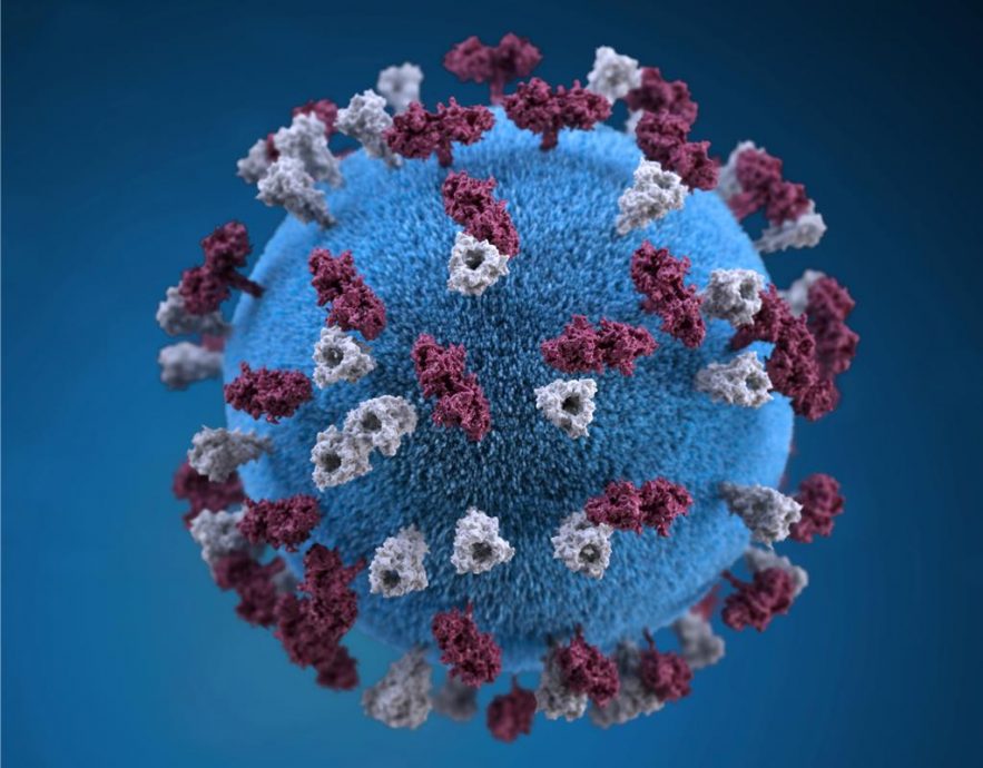 病毒对健康只有害处?爱尔兰研究证实:肠道病毒有助调节压力