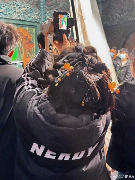 白鹿晒替身背影登热搜 遭爆私下真实一面