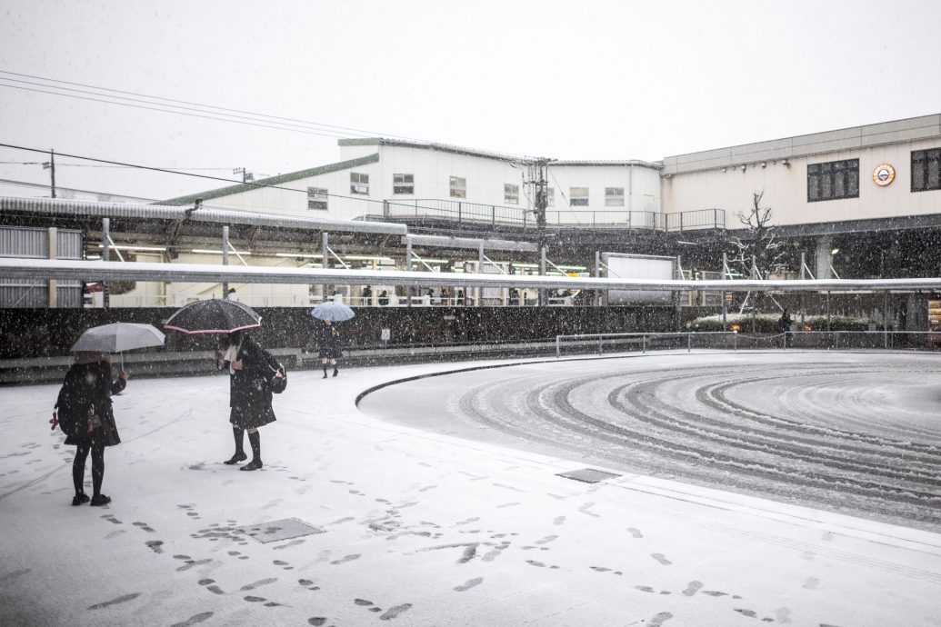 看世界 东京开始飘雪 关东甲信地区积雪将达40公分