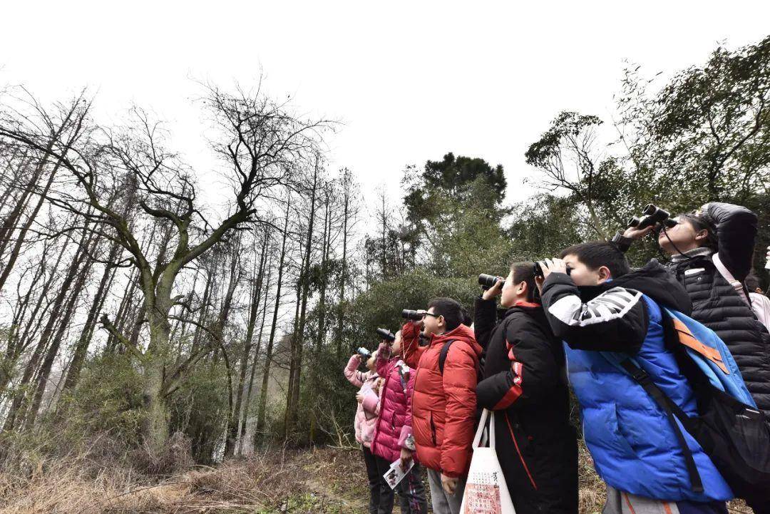 看世界）中国国安部：非法盗采传输保护物种 一外国人被驱逐出境