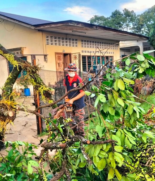 督亚冷宋溪榴梿 约100住宅店铺受暴风雨袭击