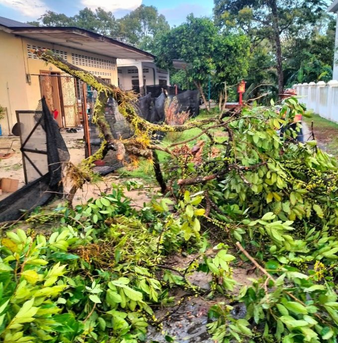 督亚冷宋溪榴梿 约100住宅店铺受暴风雨袭击