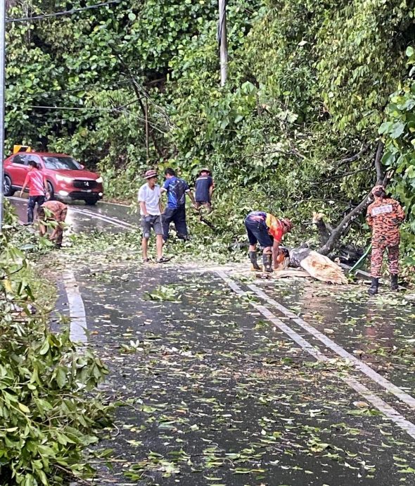 督亚冷宋溪榴梿 约100住宅店铺受暴风雨袭击