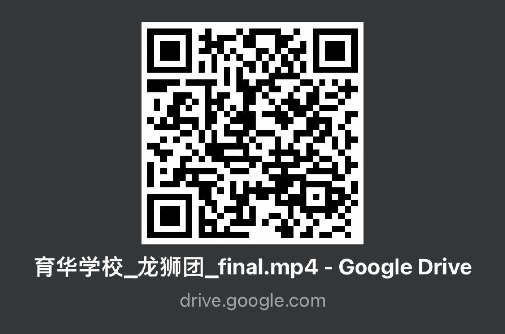 第二篇(大都会)“文化火炬•相传不辍”计划之2 龙狮团