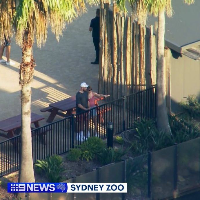 莱史动物园喂哺袋鼠 遭动保组织狠批