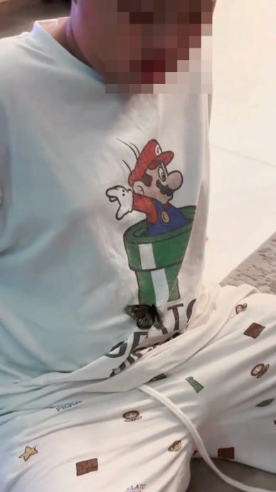 蔡天凤逝世1周年| 妈妈五姐信女儿化蝶显归家 给家人安慰