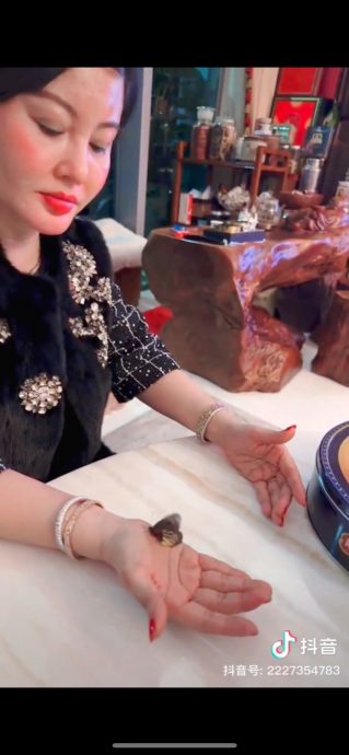 蔡天凤逝世1周年| 妈妈五姐信女儿化蝶显归家 给家人安慰