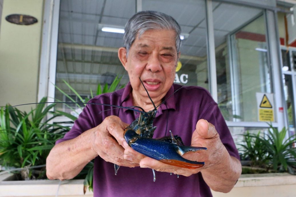 **要修字 --新年特稿：养殖龙虾/12图