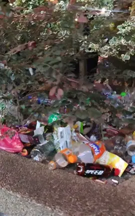 视频|抨外籍人士在KLCC乱丢垃圾 男子:真是糟透了!