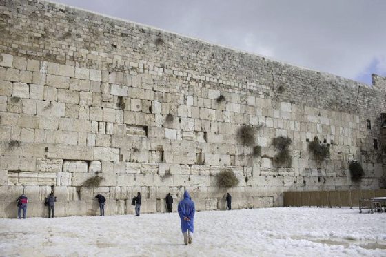 谢诗奇／拥挤的圣地