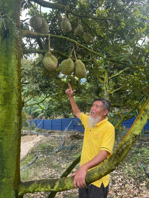 钦州媒体完成马中建交50周年访马行程,料3个月后推出特辑。