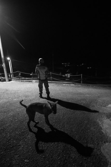 陈子韩／四十不惑