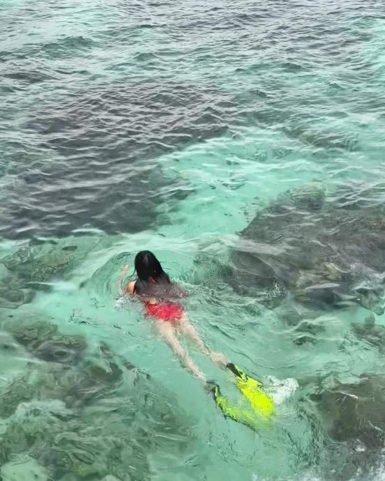 陈浩民爱妻游泳被珊瑚划伤 大腿溅血恐留疤