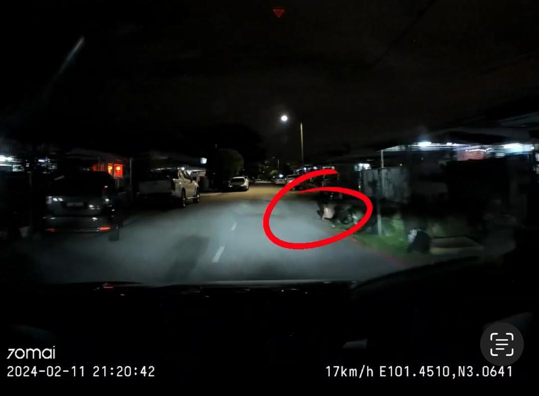 难民孩子夜晚坐在马路旁 车主轰：出了车祸谁负责？