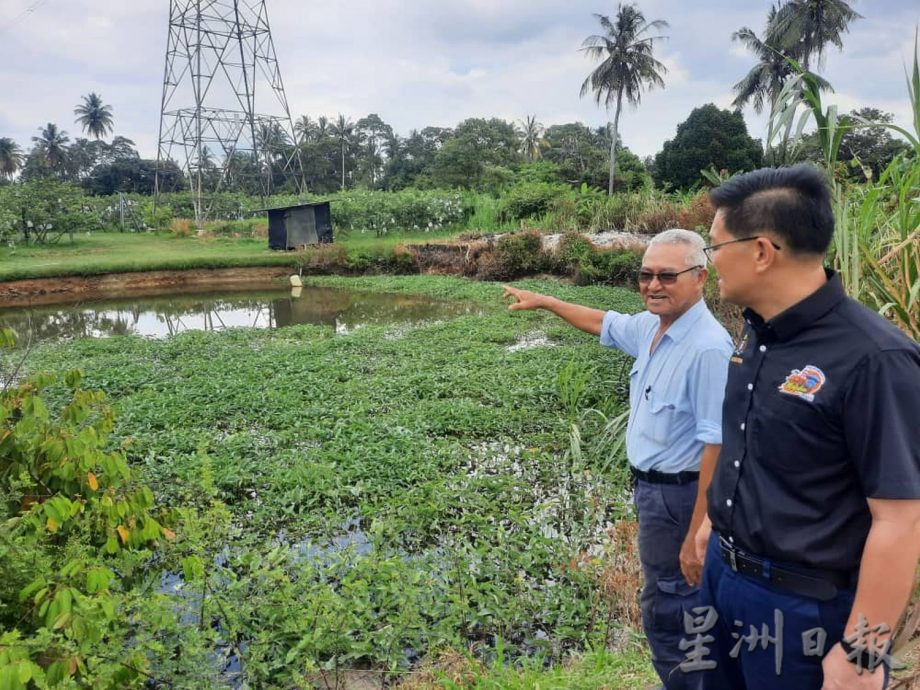 （古城封面主文）水利灌溉局抽水机损坏，武吉南眉农民10天没水灌溉 农作物枯死