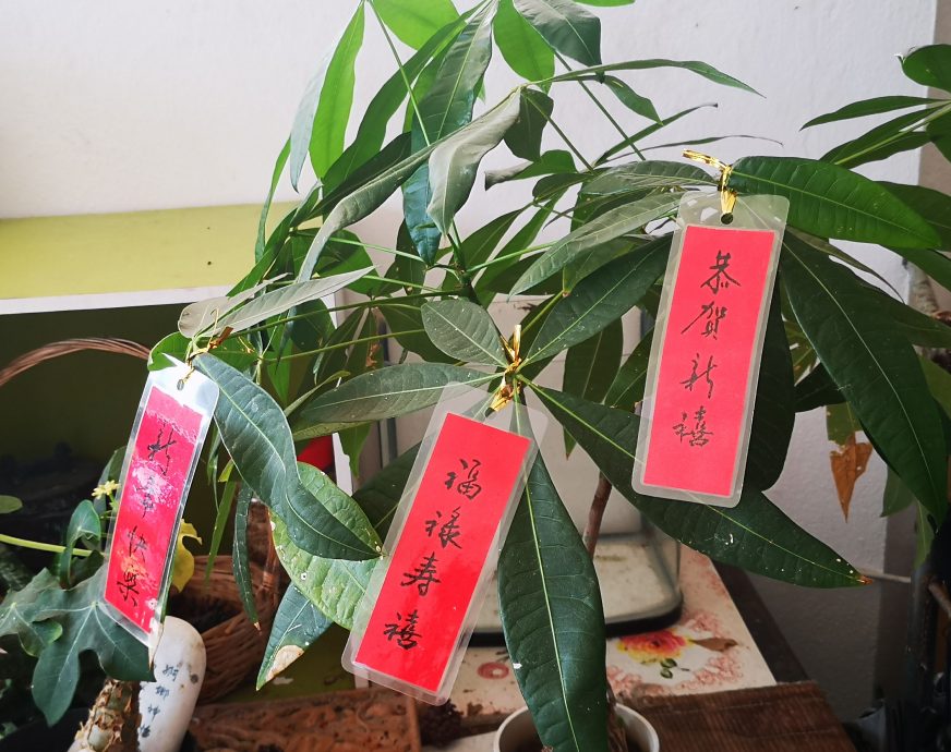 ***(古城新春备稿)书法家曾昭智圆满十二生肖新春堂挂 甲辰龙年新春堂挂祝大家过好年!