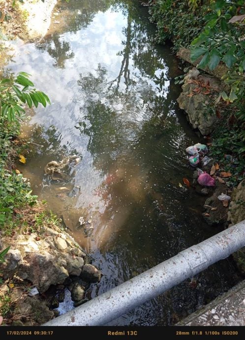 (大北马)居林河及阿逸美拉河出现“黑水怀疑是威中区双溪里武村养猪场的污水或废水排放