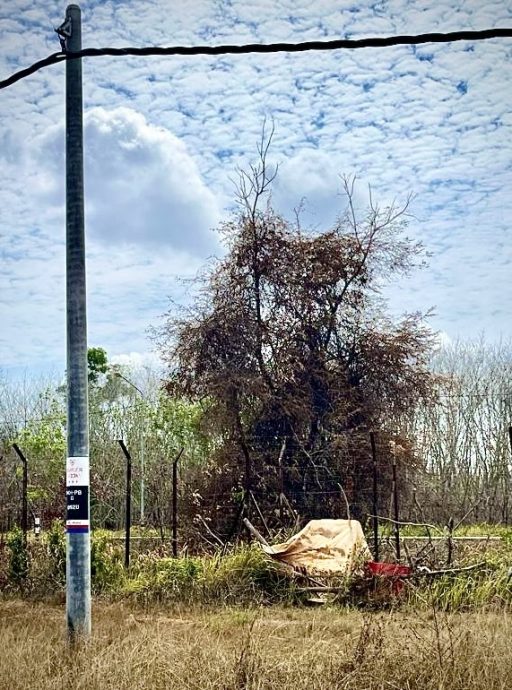 （大北马）玻警方起98.3公斤的冰毒