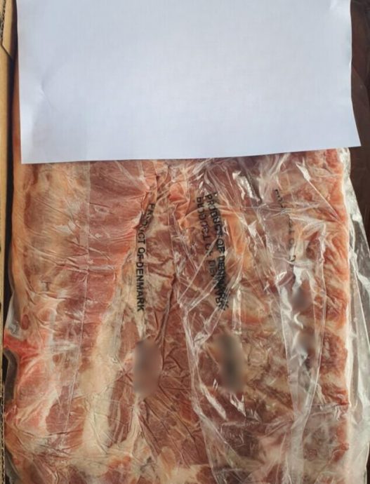 (已签发)柔:检疫局:与申报资料不符 扣查772箱进口猪肉