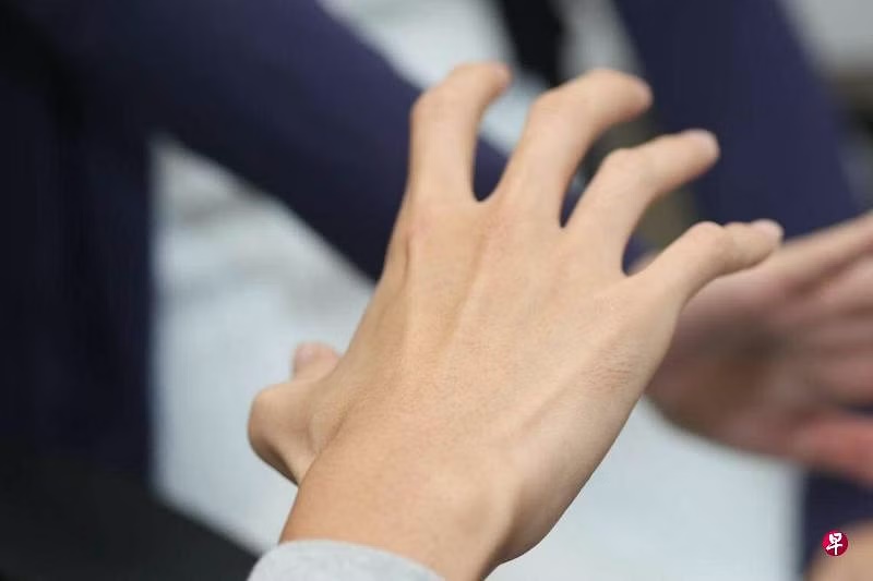 （已签发）柔：狮城二三事：上门油漆伺机非礼性侵女佣 孟加拉客工判监打鞭