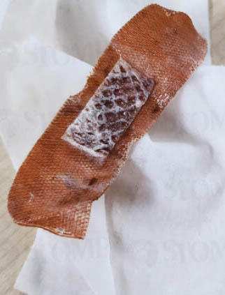 (已签发)柔:狮城二三事:吃米粉咬到染血胶布 食客大呼恶心