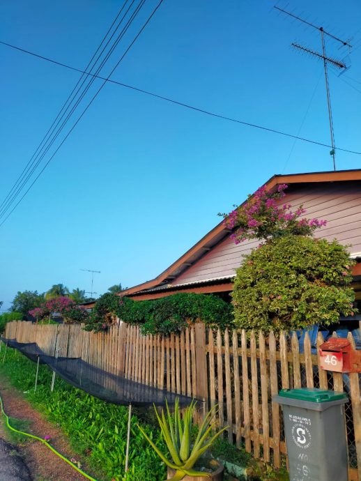 (年初六封面)柔:【新年特稿】:龙年话龙村,实里拉龙新村龙气十足