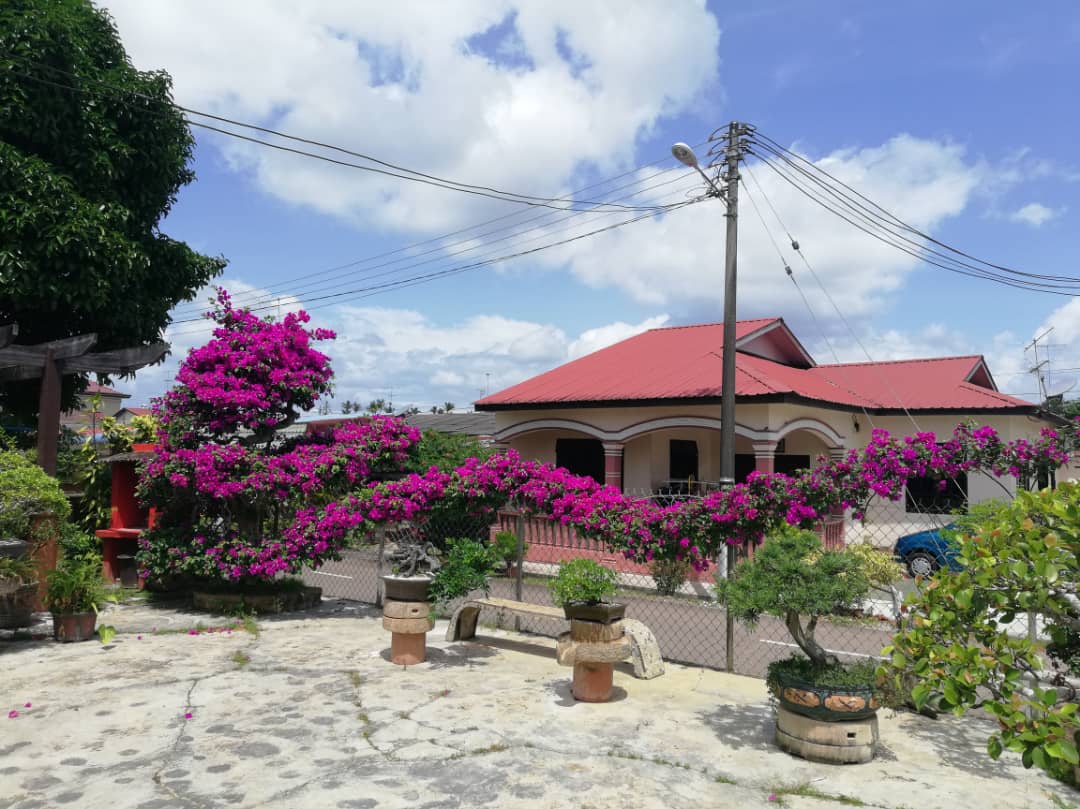 (年初六封面)柔:【新年特稿】:龙年话龙村,实里拉龙新村龙气十足