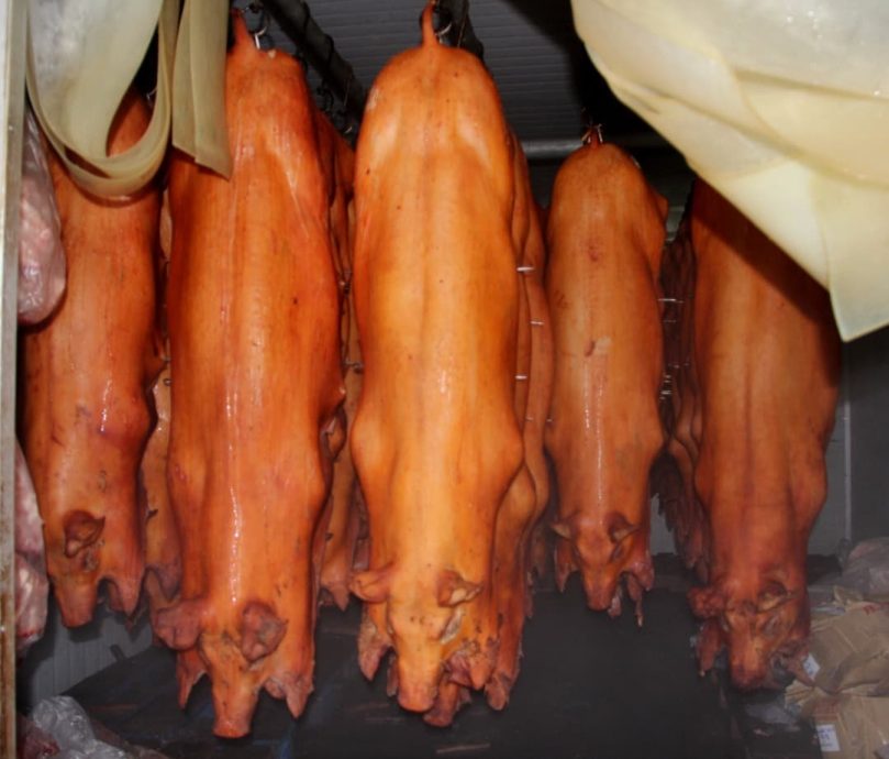 (版3头)大都会:天公诞金猪行情