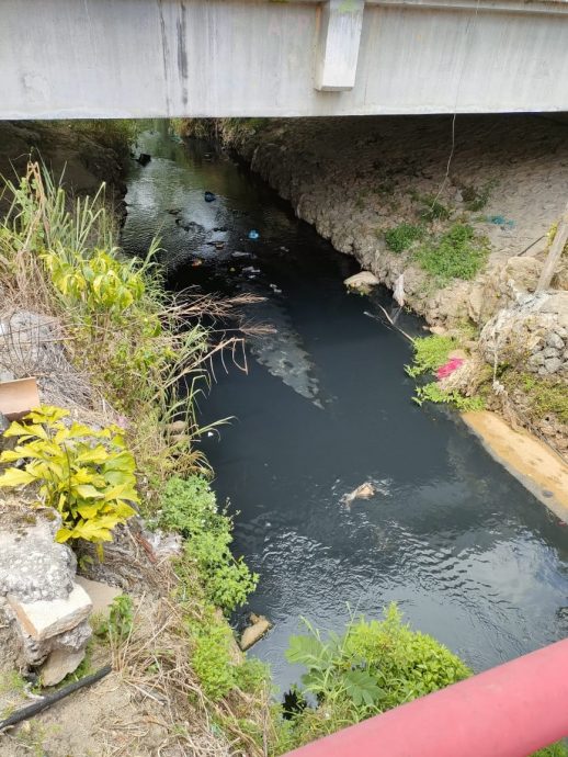 NS淡边:淡边青龙宫旁的河流被污染成“黑河”