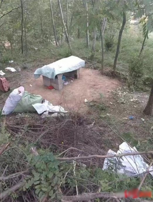 13岁少年杀8岁女童剖腹奸尸　只因妈妈从小打骂而恨女人