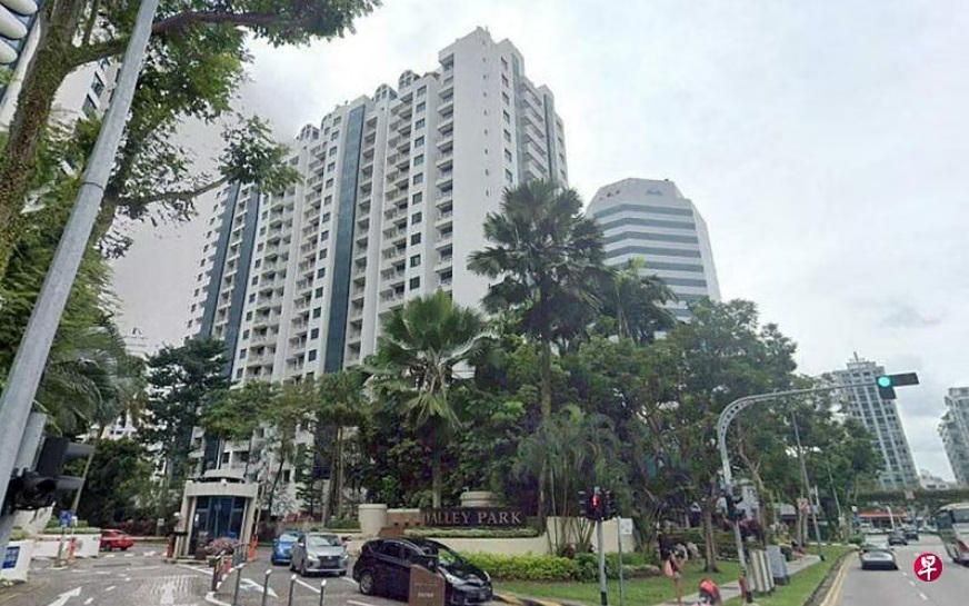 (已签发)柔:狮城二三事:搬运工人偷首饰 手提包藏箱运走