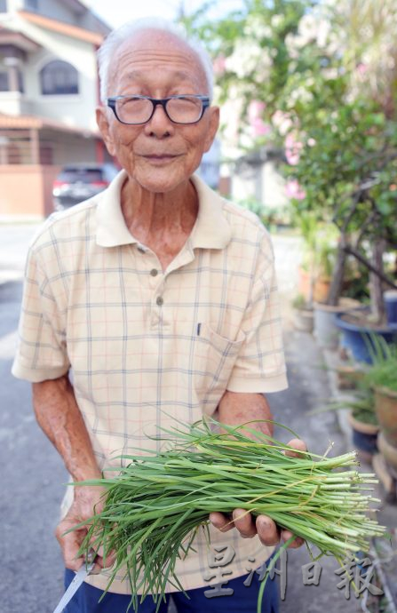 ★3月18日刊登/大霹雳封底主文/【农的传人】善用空间居家种植 潘星南省买菜钱