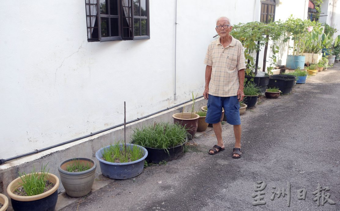 ★3月18日刊登/大霹雳封底主文/【农的传人】善用空间居家种植 潘星南省买菜钱