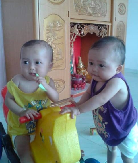 ★霹:8日见报/封底主文/龙重登场|金宝万邦刁万华小 出龙女三胞胎及2对双胞胎