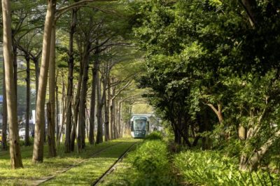 【台湾】漫游南台湾,感受文化碰撞