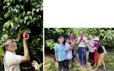 【马来西亚‧柔佛】拉美士,坐看最美的日出云海