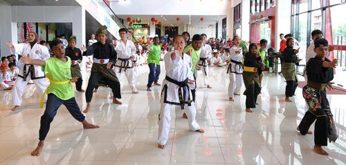 东:彭亨环球跆拳道公会2024年全彭武术团结交流大集会