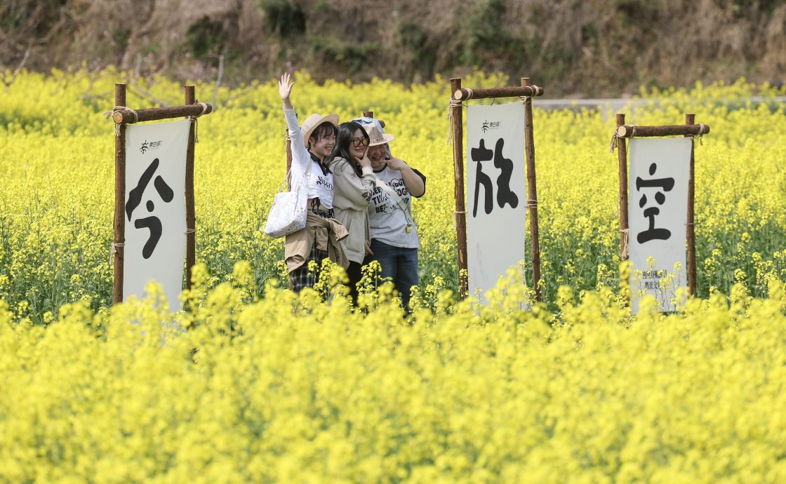 中国浙江诸暨万亩花田引客
