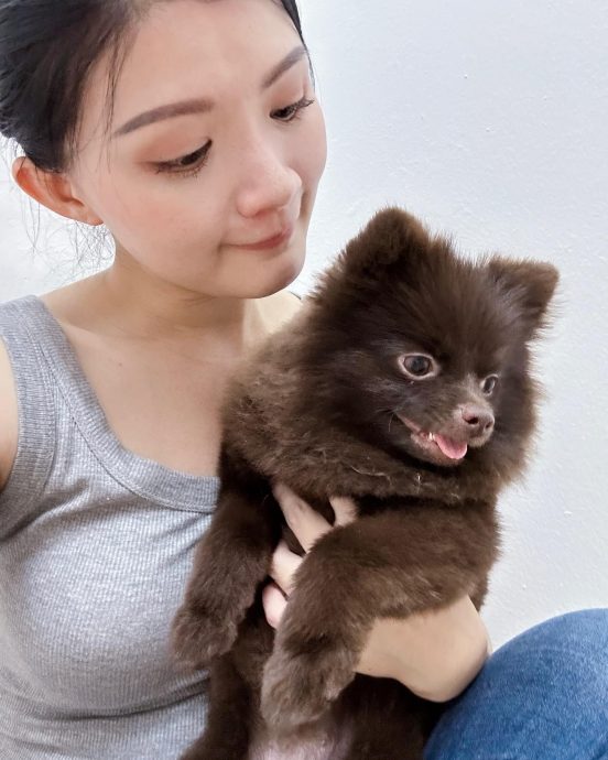 乘风2024|林心如杨谨华参战 王雪晶落选不气馁“我会加油”