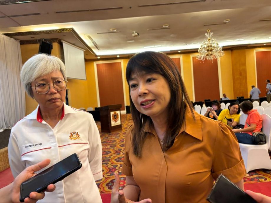 林慧英:今年内将落实奢侈品税,现阶段聆听业界意见